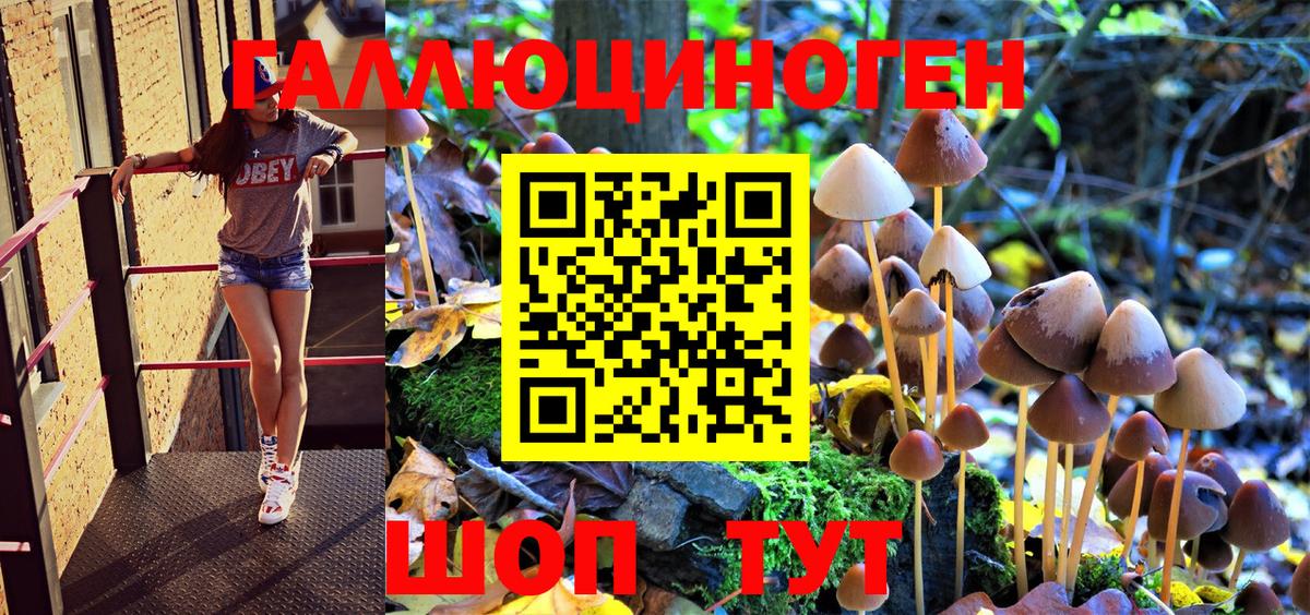 Полысаево  Псилоцибиновые грибы Cubensis  Галлюциногенные грибы Psilocybine cubensis  продажа наркотиков  Вход с VPN 